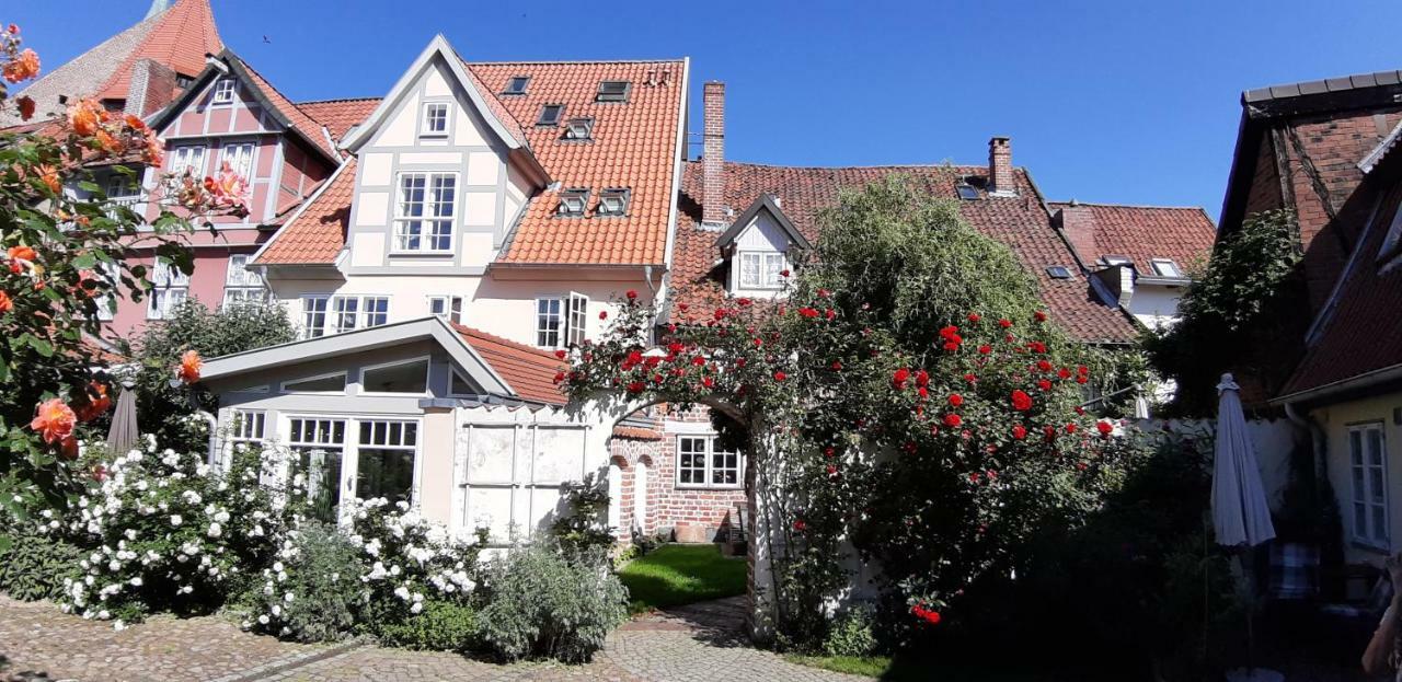 Meeresleuchten * Lüneburg