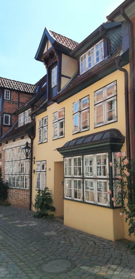 Meeresleuchten Lüneburg